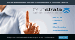 Desktop Screenshot of bluestrataehr.com